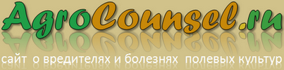 Главная